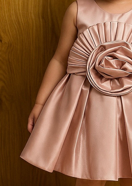 Blushed Rosette Dress